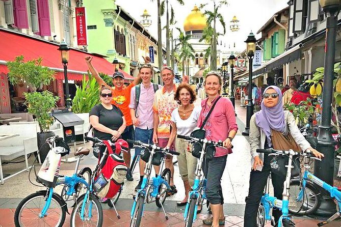 Lion City Bike Tour of Singapore - Chinatown to National Museum: Two Worlds Side by Side