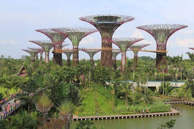 Lion City Night Out + Roundtrip Transfers - Quick hits before you go