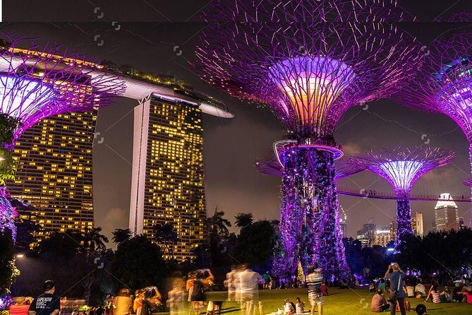 Lion City Night Out + Roundtrip Transfers - Gardens by the Bay Supertrees: the evening centerpiece (and the timing test)