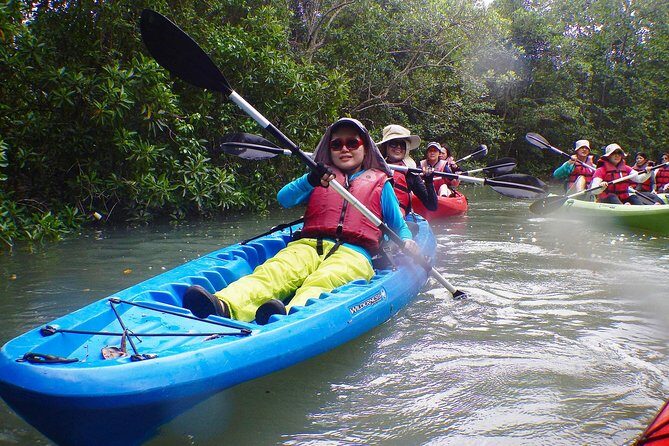 Mangrove Kayaking Adventure in Singapore - 4 hours on the water: open sea, then calm mangrove channels
