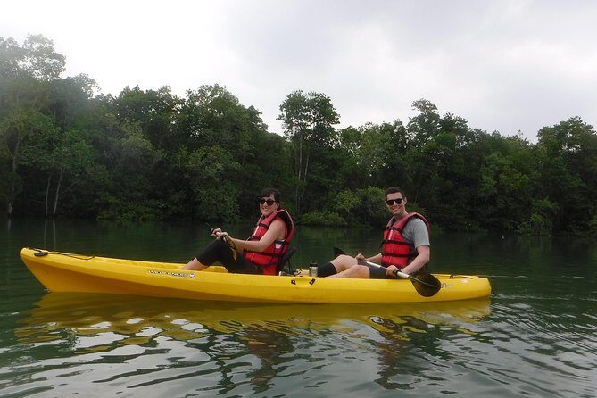 Mangrove Kayaking Adventure in Singapore - Mangrove bird spotting: kingfishers, herons, eagles, and more