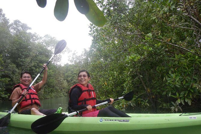 Mangrove Kayaking Adventure in Singapore - Should you book this kayak tour on Pulau Ubin?