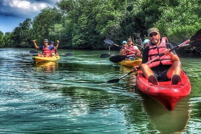 Mangrove Kayaking Adventure in Singapore - The guides and safety setup: what they teach first