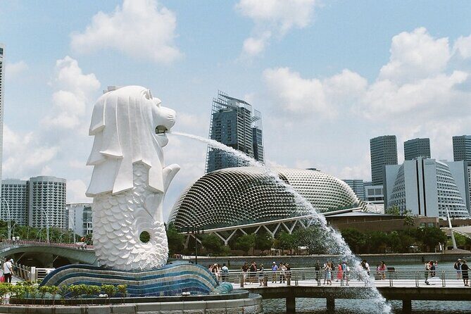 MBCC & HFCC - Cruise Terminal to City Hotel Transfer - MBCC or HarbourFront: how pickup works after customs and bags