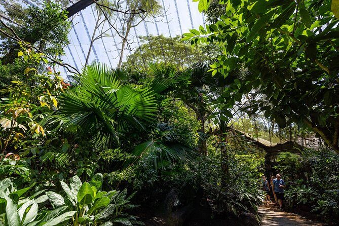 Morning at the Zoo with 1-way Transfer (Free & Easy) - The optional Jungle Breakfast with Wildlife: what you’re really paying for