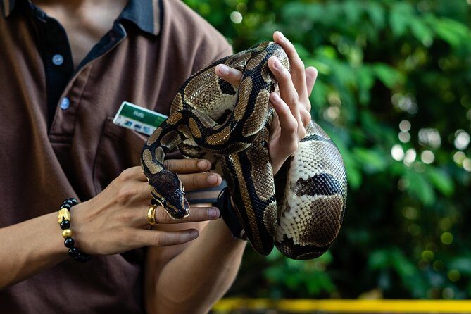 Morning at the Zoo with 1-way Transfer (Free & Easy) - How much zoo time you’ll actually get (and why it can feel short)