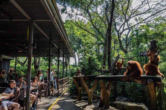 Morning at the Zoo with 1-way Transfer (Free & Easy) - Crowds, weather, and the real-life zoo variables