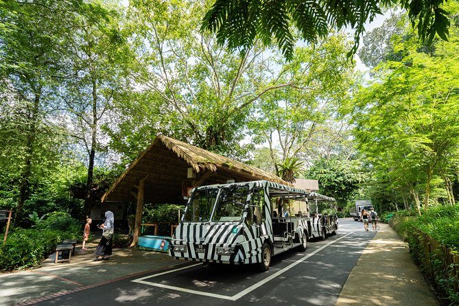 Morning at the Zoo with 1-way Transfer (Free & Easy) - Hotel pickup to Mandai: smooth in theory, variable in reality