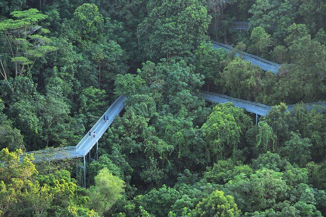 Mount Faber, Henderson Waves and Southern Ridges Tour - What the guide adds: local life, plants, and practical storytelling