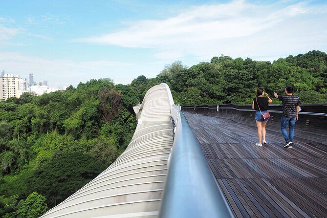 Mount Faber, Henderson Waves and Southern Ridges Tour - Stop 1: Alexandra Park and the elevated bridge through secondary forest
