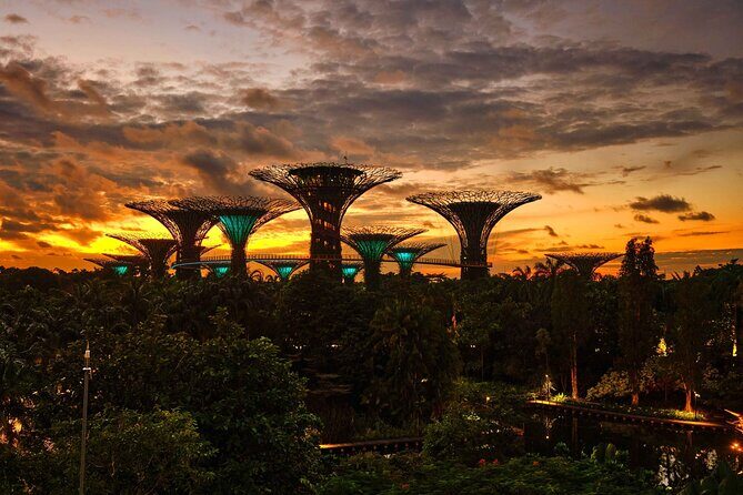 Night out with 6 Food Tastings, Spectra & Garden Rhapsody Shows - Lau Pa Sat Dinner and the Six Food Tastings