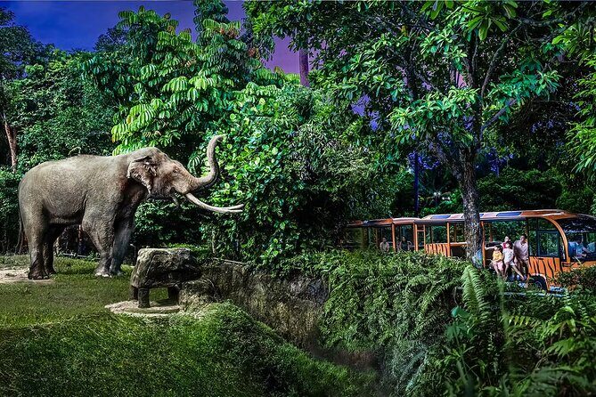 Night Safari Singapore Skip the Line Tickets with Tram Ride - Seven Themed Zones: What You’ll See Across the Regions
