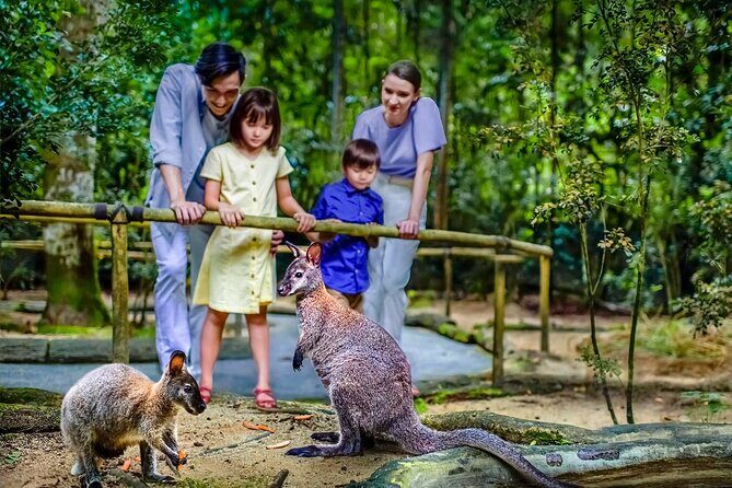 Night Safari Singapore Skip the Line Tickets with Tram Ride - Duration and Timing: Planning for 1 to 4 Hours Without Stress