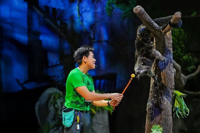 Night Safari Singapore Skip the Line Tickets with Tram Ride - Who This Night Safari Tram Ticket Is Best For