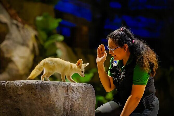 Night Safari Singapore Skip the Line Tickets with Tram Ride - Tram Ride Through the Park: A Smart Way to Spend Your Night