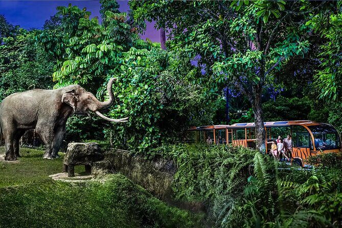 Night Safari Tickets with Tram Ride - Night Safari after dark: why this feels different in Singapore