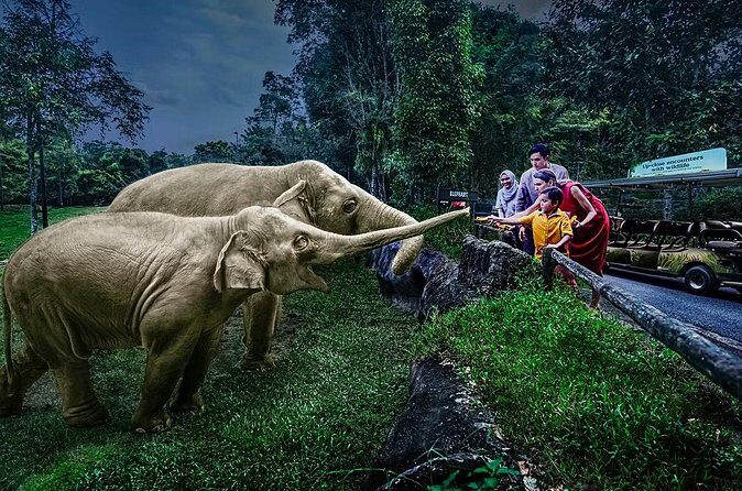 Night Safari Tickets with Tram Ride - How long it takes (about 1–3 hours) and how to pace your evening