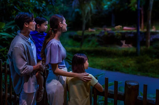 Night Safari Tickets with Tram Ride - Comfort, navigation, and photos: small choices that make a big difference