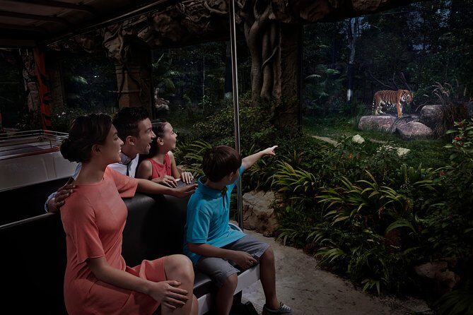 Night Safari with Buffet Dinner with hotel pick-up - The Open Tram and the East/West Loop: The Safari Drive-By That’s Not a Waste