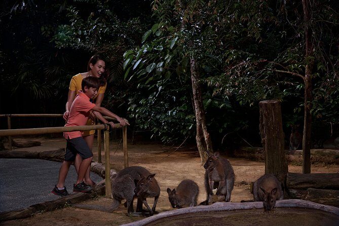 Night Safari with Buffet Dinner with hotel pick-up - Who Should Book This Night Safari with Buffet Dinner