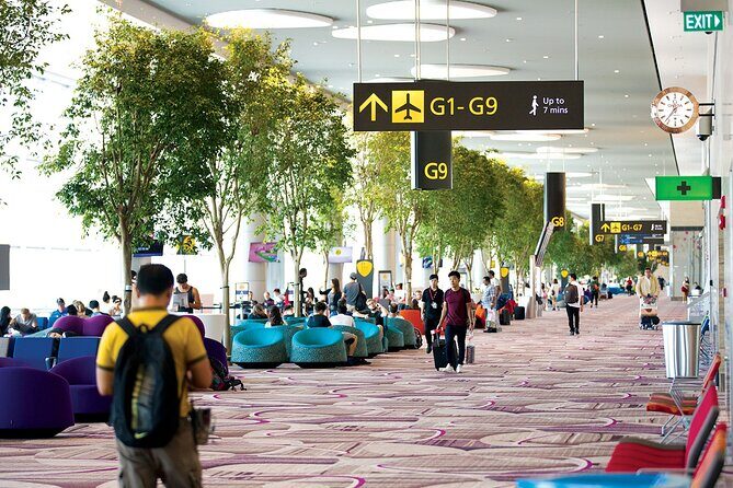 Private Arrival Transfer From Singapore Airport or Port to Hotel - Real-world expectations: what a smooth pickup looks like