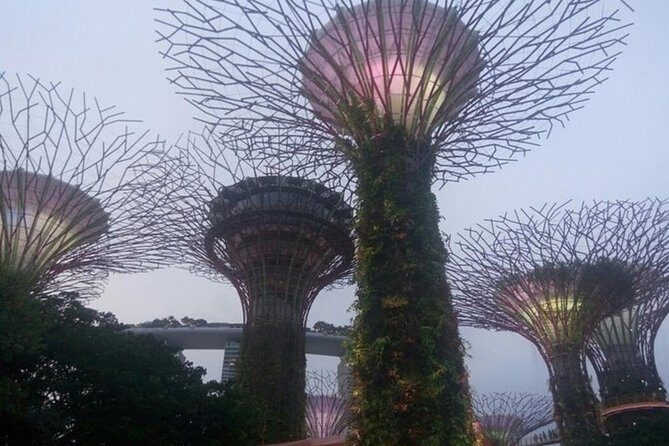 Private Full Day Singapore Highlights Tour - Why a private full day in Singapore saves your energy