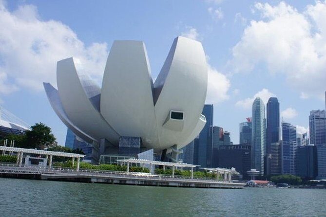 Private Full Day Singapore Highlights Tour - Meeting at 9:00 am: how the door-to-door setup works