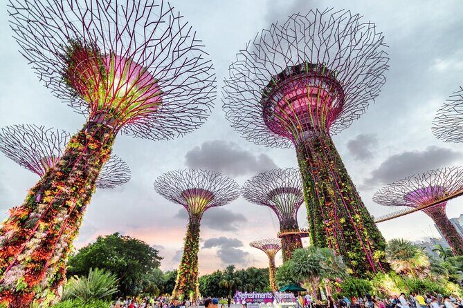 Private Full Day Singapore Highlights Tour - Little India Arcade: shopping, food energy, and a better lunch