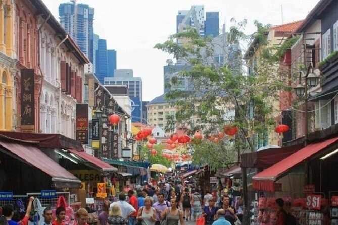 Private Half Day Singapore City Tour with Botanical Orchid Garden - Little India: a fast, focused look at faith, food, and street life