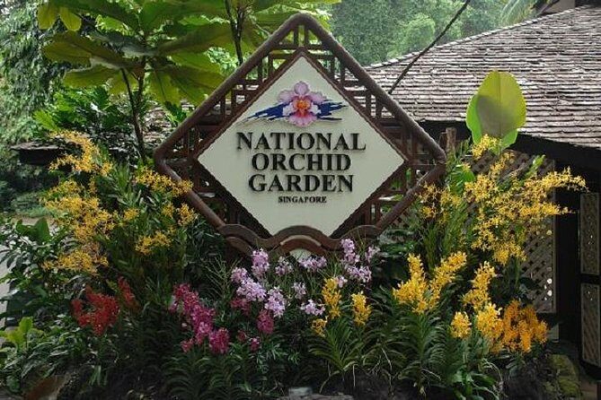 Private Half Day Singapore City Tour with Botanical Orchid Garden - What you should bring (so the day feels easy, not exhausting)