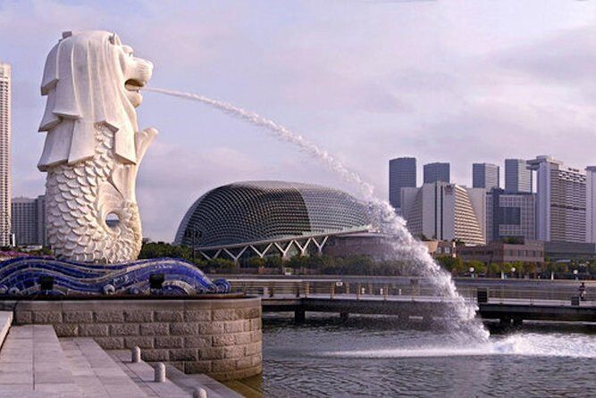 Private Singapore Airport Layover Walking Tour - Marina Bay big views: Skypark, Gardens, Flyer, and what costs extra