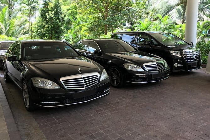 Private Singapore Arrival Transfer: Airport or Cruise Terminal to City - Key Things to Know Before You Go