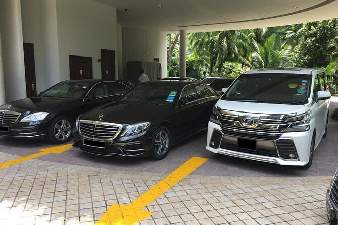 Private Singapore Arrival Transfer: Airport or Cruise Terminal to City - Meet Your Driver: Airport, Cruise Port, or Train Station Reality Check