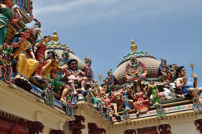 Private Singapore Chinatown, Little India and Temples Guided Tour - Price and what you’re really paying for
