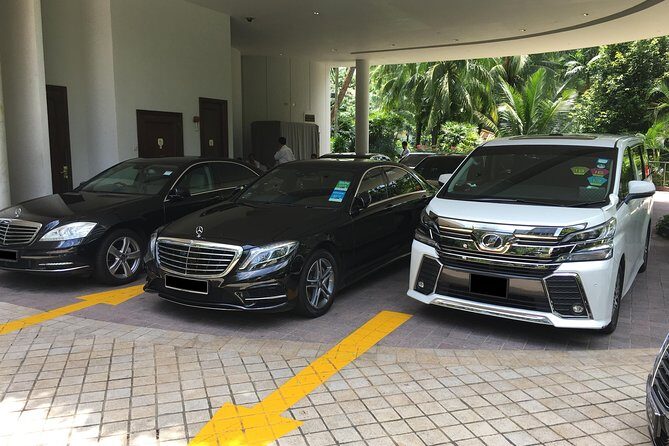 Private Singapore Departure Transfer: City to Airport or Cruise Terminal - Your Ride Plan: What to Expect on the 30-Minute Transfer