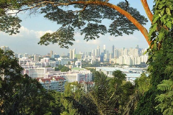 Private Singapore Full Day Round Island Tour with River Cruise - Chinatown + Lunch Options You Can Control
