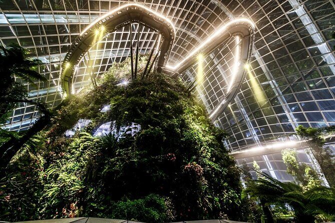 Private Singapore Night Tour with Gardens by the Bay&River Cruise - Key Things You’ll Like About This Night Tour