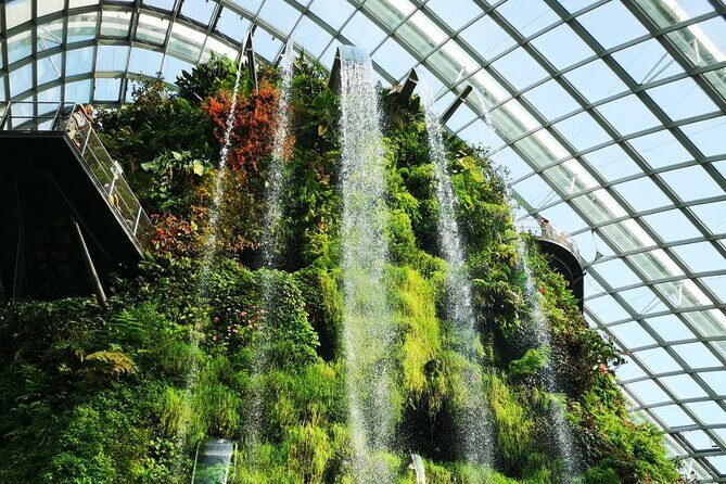 Private Singapore Night Tour with Gardens by the Bay&River Cruise - The Real Value: Private Guidance and Better Night Positioning