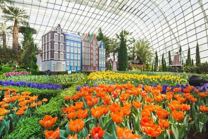 SandsSkyPark+GardensbytheBay(FlowerDome&Jurassic World)Transfers - What You Actually Get: SkyPark, Flower Dome, and the Supertree Night Glow