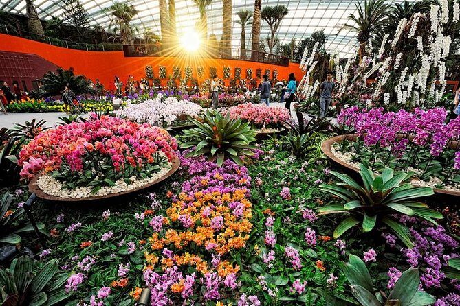 SandsSkyPark+GardensbytheBay(FlowerDome&Jurassic World)Transfers - Gardens by the Bay: Flower Dome and Supertree Grove Without Getting Lost