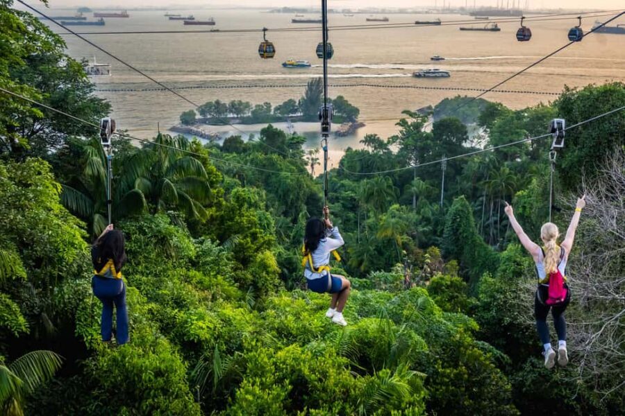 Sentosa Island: Ticket to Mega Adventure Park - Price and value: what a $15 ticket really covers