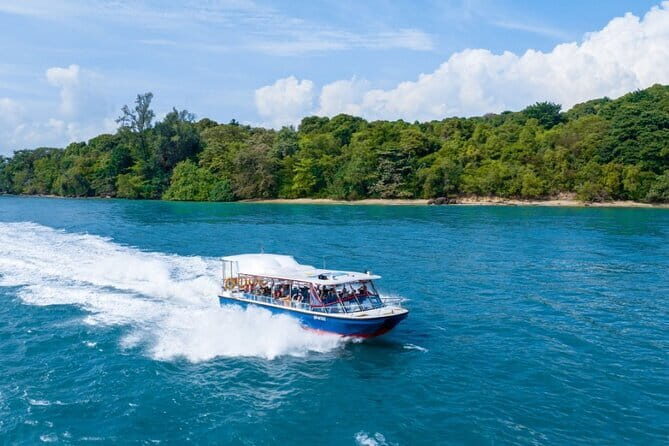 Singapore - Albatross Speedboat Adventures Cruising in Sentosa - Price and value: what you’re really paying for