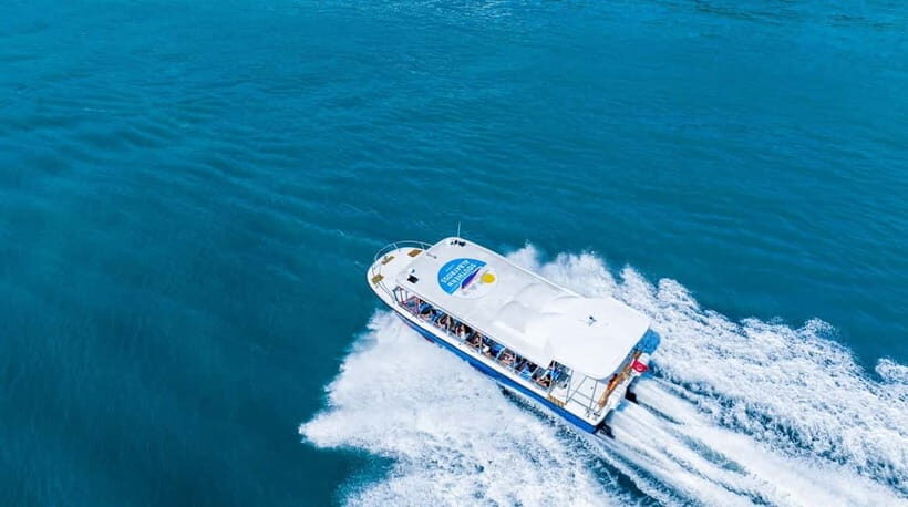 Singapore: Albatross Speedboat Adventures Ticket - A 60-minute Singapore speedboat that keeps things moving