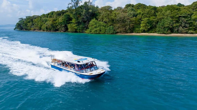 Singapore: Albatross Speedboat Adventures Ticket - What the ride feels like: speed, turns, and seaworthy excitement