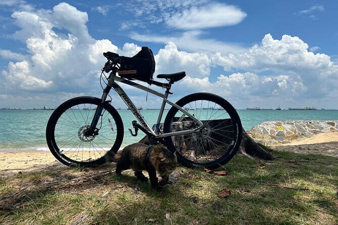 Singapore Beach City Cycling Tour - Gardens by the Bay: Nature Meets the Skyline, No Ticket Panic Required