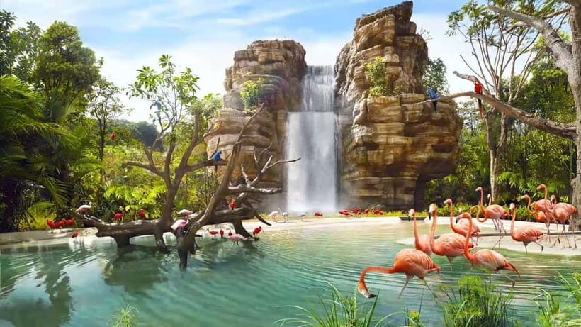 Singapore: Bird Paradise - Bird Paradise Singapore: what the $39 ticket really delivers