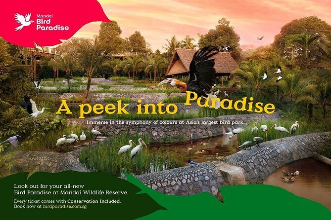 Singapore Bird Paradise Entry Ticket - What Bird Paradise feels like once you’re inside