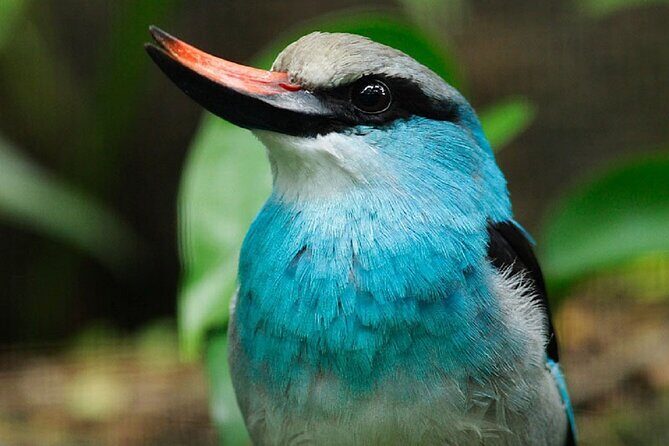 Singapore: Bird Paradise Entry Ticket - Getting oriented inside the 50 acres