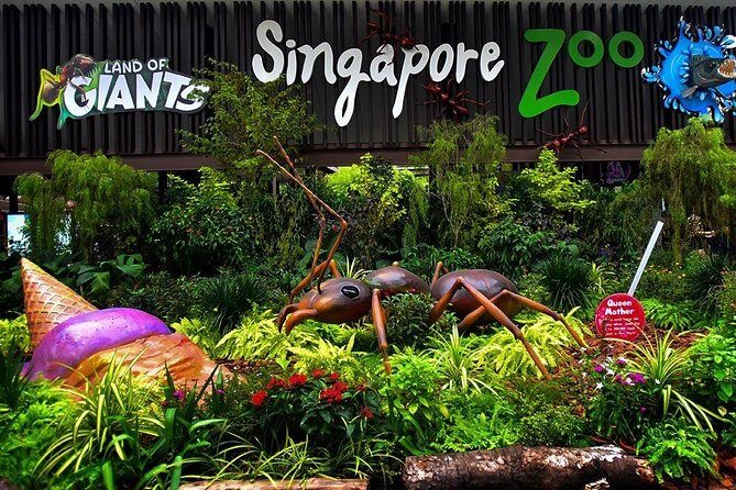 Singapore Bird Paradise & Zoo Full Day (Ticket & Transfer ) - Hotel-to-parks transfer: the real value is the hassle-free routing