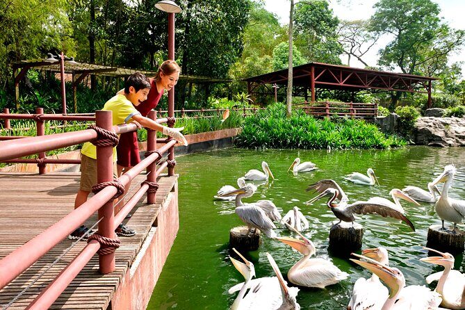 Singapore Bird Paradise & Zoo Full Day (Ticket & Transfer ) - Who this tour suits best (and who should reconsider)